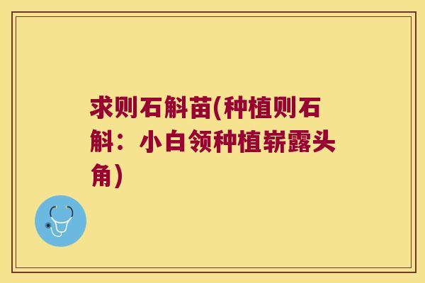 求则石斛苗(种植则石斛：小白领种植崭露头角)