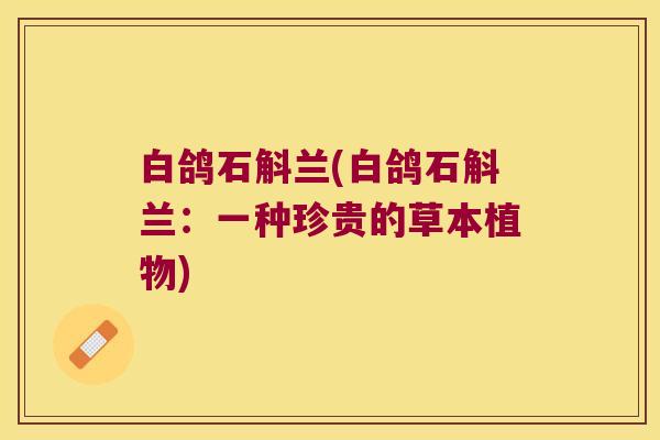 白鸽石斛兰(白鸽石斛兰：一种珍贵的草本植物)
