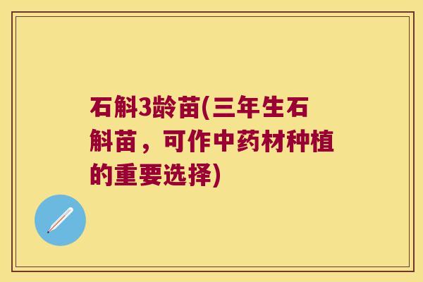 石斛3龄苗(三年生石斛苗,可作材种植的重要选择) 石斛3龄苗(三年生石斛苗,可作材种植的重要选择)