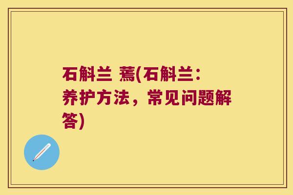 石斛兰 蔫(石斛兰：养护方法，常见问题解答)
