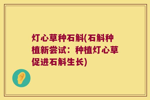 灯心草种石斛(石斛种植新尝试：种植灯心草促进石斛生长)