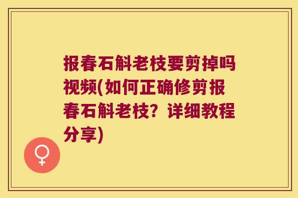 报春石斛老枝要剪掉吗视频(如何正确修剪报春石斛老枝?详细教程分享) 报春石斛老枝要剪掉吗视频(如何正确修剪报春石斛老枝?详细教程分享)