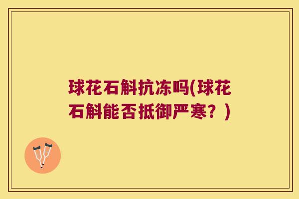 球花石斛抗冻吗(球花石斛能否抵御严寒？)