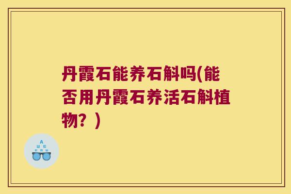 丹霞石能养石斛吗(能否用丹霞石养活石斛植物?) 丹霞石能养石斛吗(能否用丹霞石养活石斛植物?)