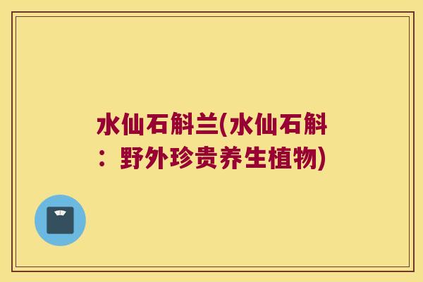 水仙石斛兰(水仙石斛：野外珍贵养生植物)