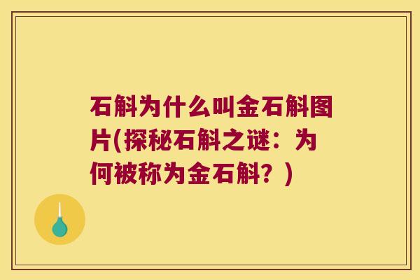石斛为什么叫金石斛图片(探秘石斛之谜：为何被称为金石斛？)