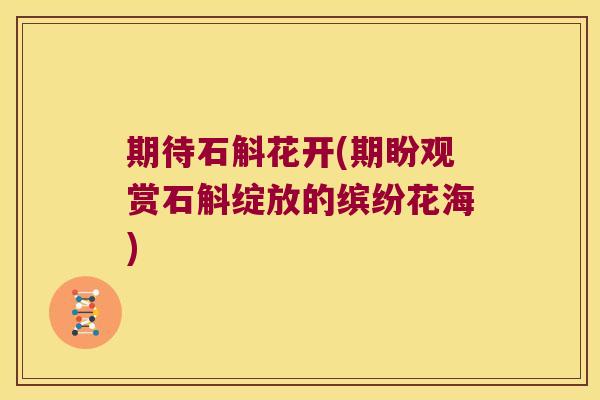 期待石斛花开(期盼观赏石斛绽放的缤纷花海)