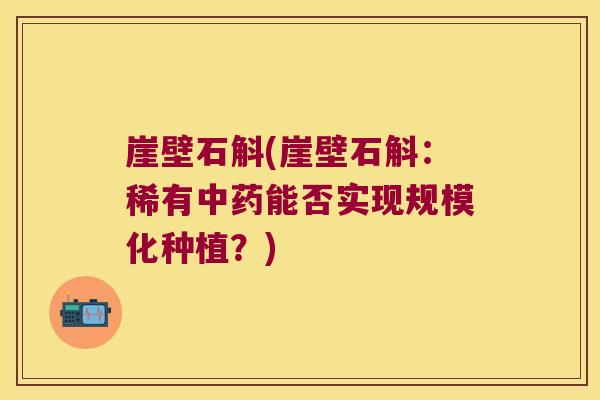 崖壁石斛(崖壁石斛：稀有中药能否实现规模化种植？)