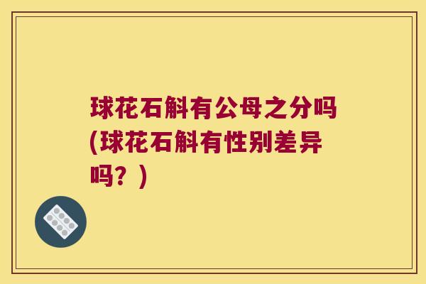 球花石斛有公母之分吗(球花石斛有性别差异吗？)