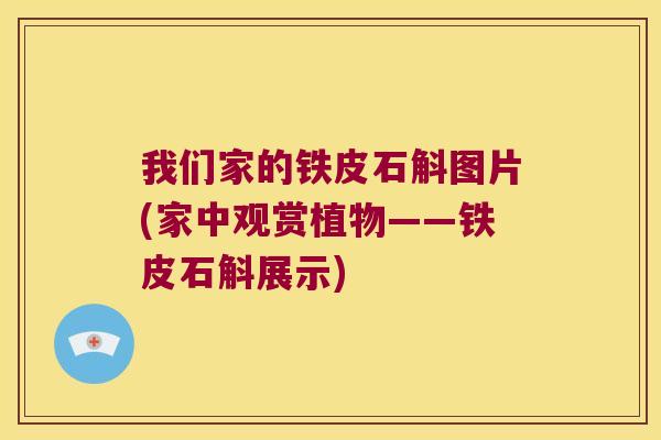 我们家的铁皮石斛图片(家中观赏植物——铁皮石斛展示)