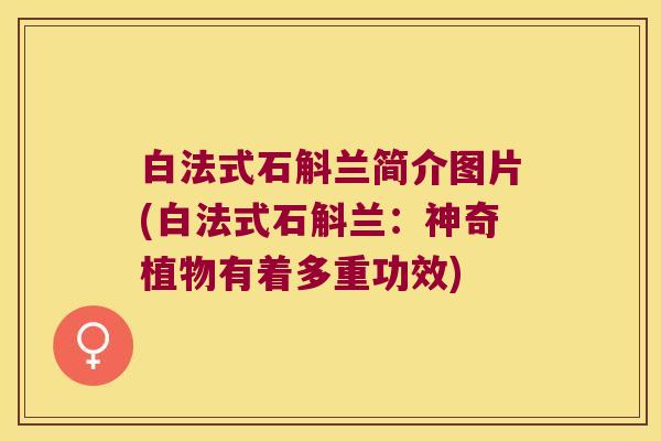 白法式石斛兰简介图片(白法式石斛兰：神奇植物有着多重功效)