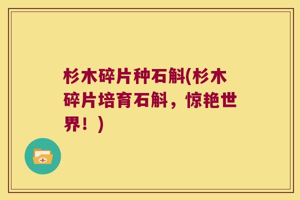 杉木碎片种石斛(杉木碎片培育石斛，惊艳世界！)