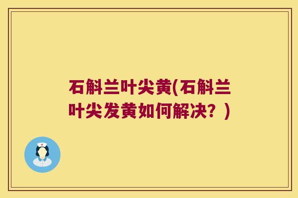 石斛兰叶尖黄(石斛兰叶尖发黄如何解决？)