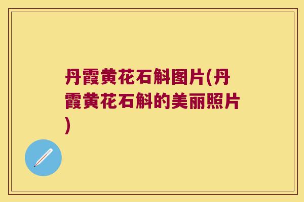 丹霞黄花石斛图片(丹霞黄花石斛的美丽照片)