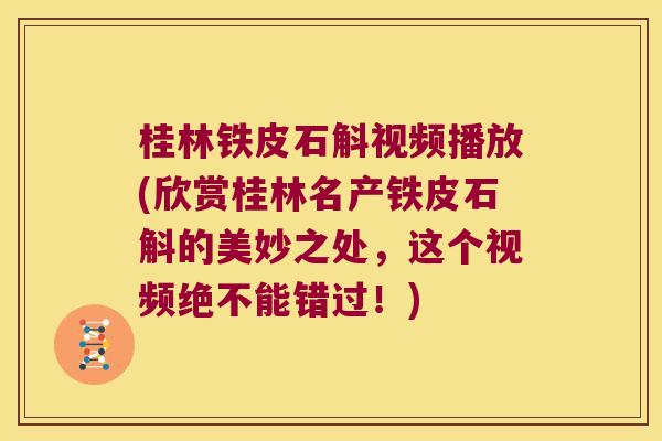 桂林铁皮石斛视频播放(欣赏桂林名产铁皮石斛的美妙之处,这个视频绝不能错过!) 桂林铁皮石斛视频播放(欣赏桂林名产铁皮石斛的美妙之处,这个视频绝不能错过!)