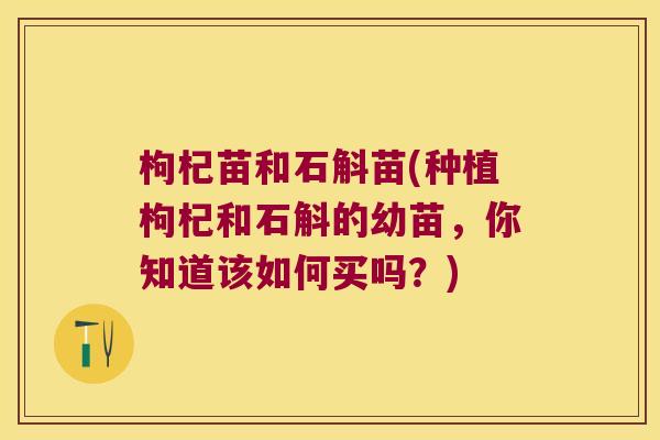 枸杞苗和石斛苗(种植枸杞和石斛的幼苗，你知道该如何买吗？)