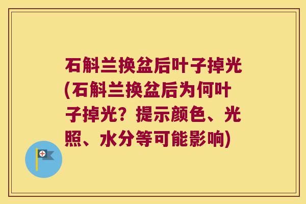 石斛兰换盆后叶子掉光(石斛兰换盆后为何叶子掉光？提示颜色、光照、水分等可能影响)