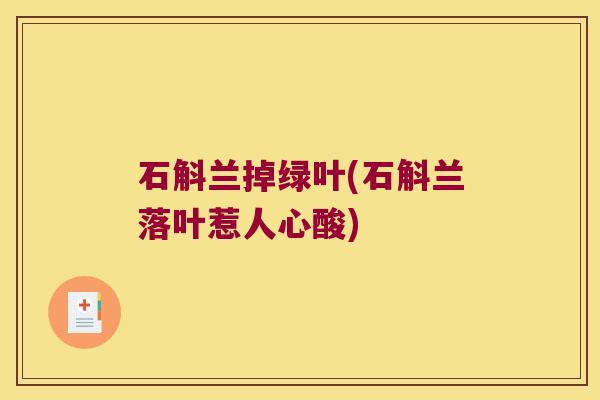 石斛兰掉绿叶(石斛兰落叶惹人心酸)