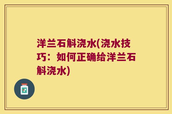 洋兰石斛浇水(浇水技巧：如何正确给洋兰石斛浇水)