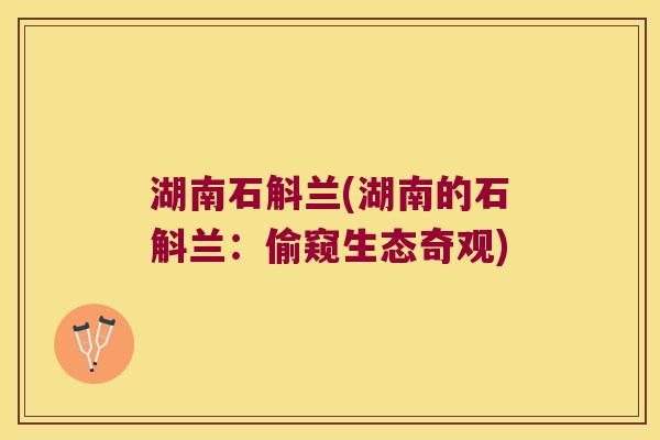 湖南石斛兰(湖南的石斛兰：偷窥生态奇观)