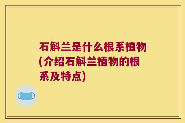 石斛兰是什么根系植物(介绍石斛兰植物的根系及特点)