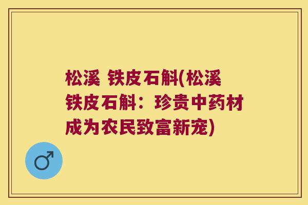 松溪 铁皮石斛(松溪铁皮石斛：珍贵中药材成为农民致富新宠)