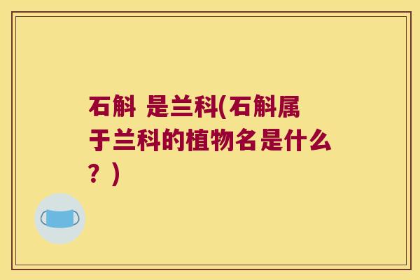 石斛 是兰科(石斛属于兰科的植物名是什么？)