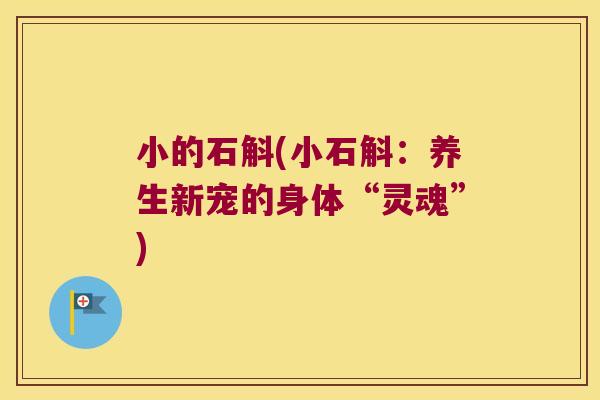 小的石斛(小石斛：养生新宠的身体“灵魂”)