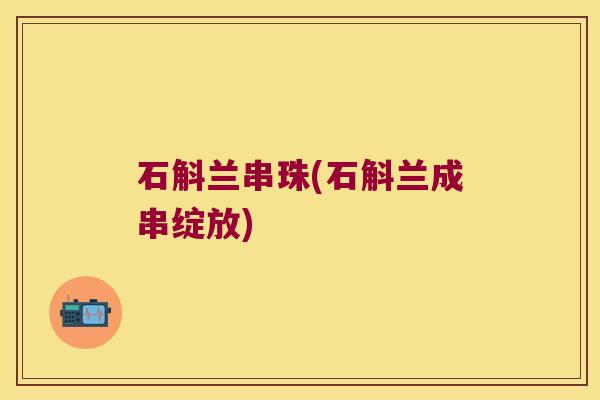 石斛兰串珠(石斛兰成串绽放)