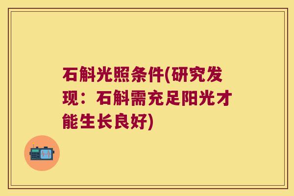 石斛光照条件(研究发现：石斛需充足阳光才能生长良好)