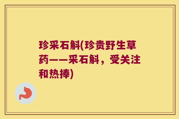 珍采石斛(珍贵野生草药——采石斛,受关注和热捧) 珍采石斛(珍贵野生草药——采石斛,受关注和热捧)