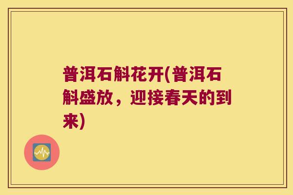 普洱石斛花开(普洱石斛盛放,迎接春天的到来) 普洱石斛花开(普洱石斛盛放,迎接春天的到来)