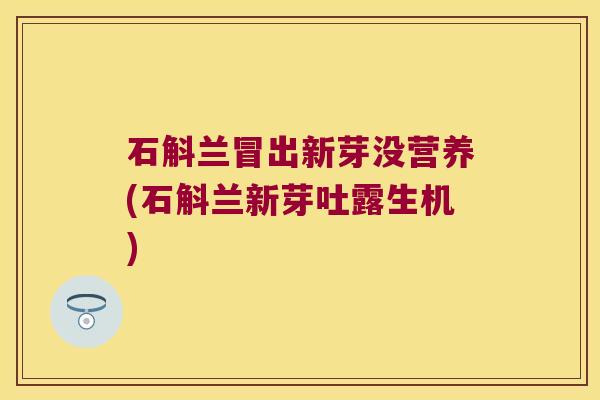 石斛兰冒出新芽没营养(石斛兰新芽吐露生机)