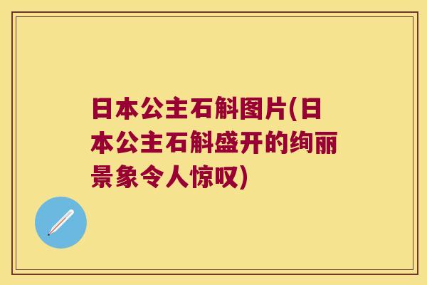 日本公主石斛图片(日本公主石斛盛开的绚丽景象令人惊叹)