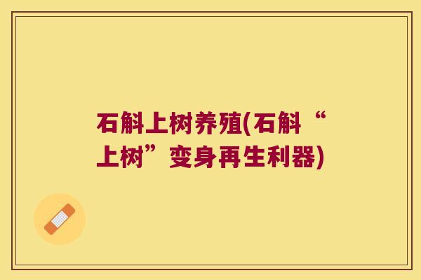 石斛上树养殖(石斛“上树”变身再生利器)