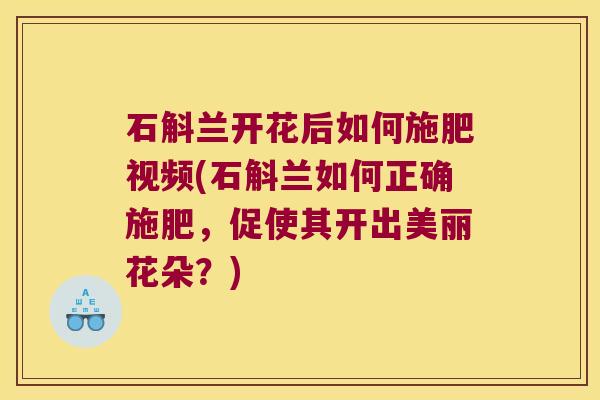 石斛兰开花后如何施肥视频(石斛兰如何正确施肥，促使其开出美丽花朵？)
