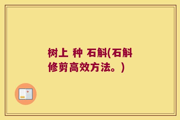 树上 种 石斛(石斛修剪高效方法。)