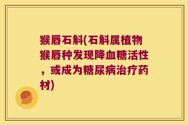 猴唇石斛(石斛属植物猴唇种发现降活性,或成为药材) 猴唇石斛(石斛属植物猴唇种发现降活性,或成为药材)