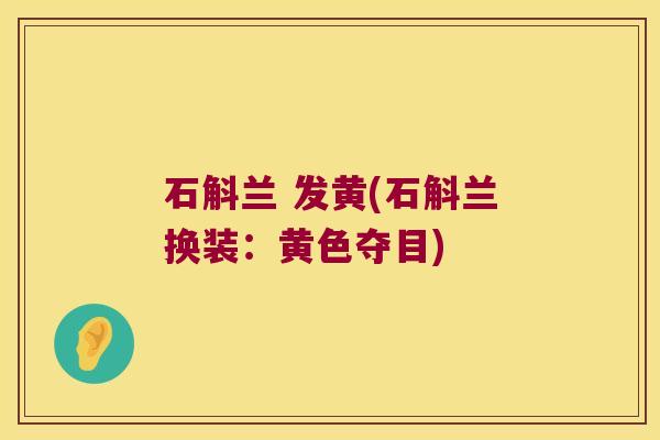 石斛兰 发黄(石斛兰换装：黄色夺目)