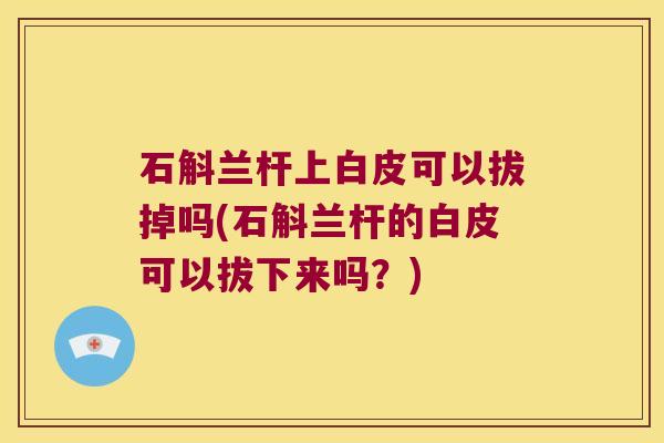 石斛兰杆上白皮可以拔掉吗(石斛兰杆的白皮可以拔下来吗？)
