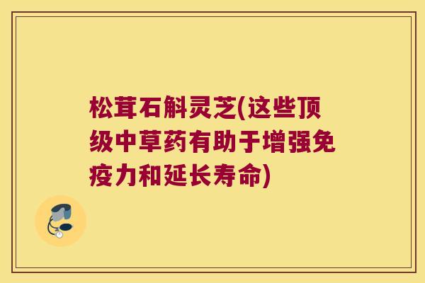 松茸石斛灵芝(这些顶级中草药有助于增强免疫力和延长寿命)