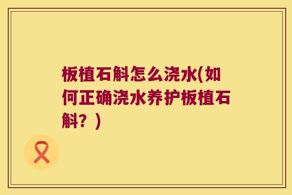 板植石斛怎么浇水(如何正确浇水养护板植石斛？)