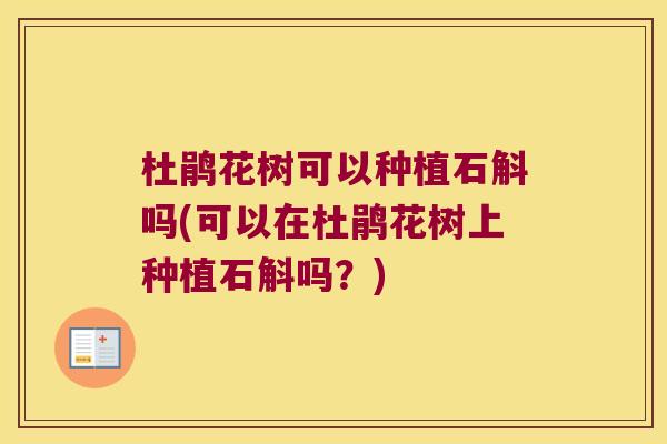杜鹃花树可以种植石斛吗(可以在杜鹃花树上种植石斛吗？)