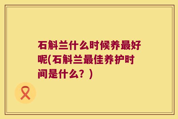 石斛兰什么时候养最好呢(石斛兰最佳养护时间是什么？)