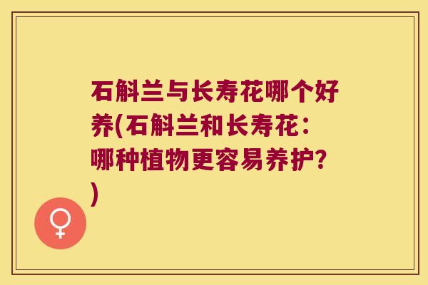 石斛兰与长寿花哪个好养(石斛兰和长寿花：哪种植物更容易养护？)