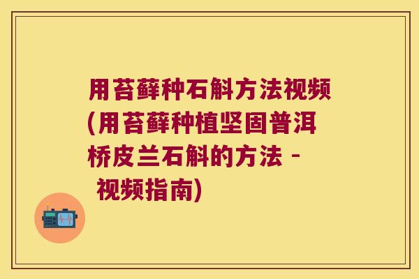 用苔藓种石斛方法视频(用苔藓种植坚固普洱桥皮兰石斛的方法 - 视频指南)