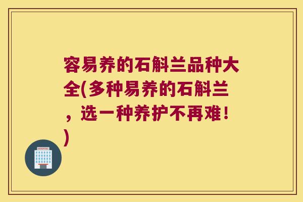 容易养的石斛兰品种大全(多种易养的石斛兰，选一种养护不再难！)