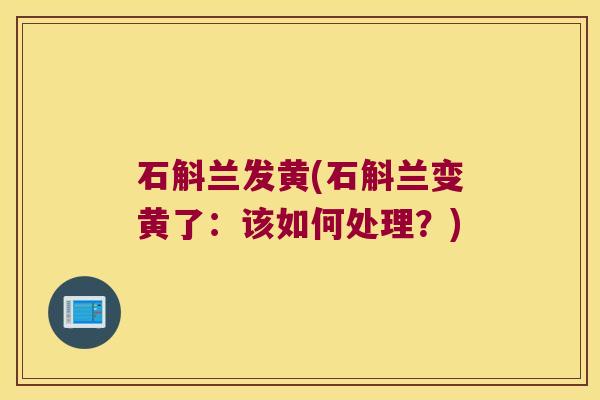 石斛兰发黄(石斛兰变黄了：该如何处理？)