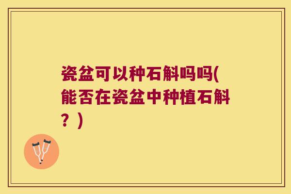 瓷盆可以种石斛吗吗(能否在瓷盆中种植石斛？)