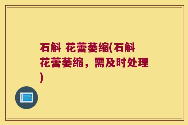 石斛 花蕾萎缩(石斛花蕾萎缩，需及时处理)